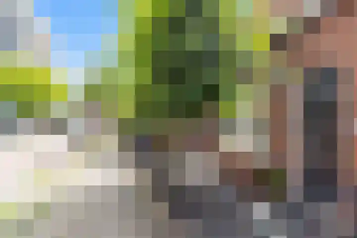 Kortlandstraat 86 Krimpen aan den IJssel thumbnail 34