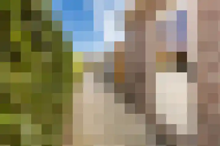 Kortlandstraat 89 Krimpen aan den IJssel thumbnail 39