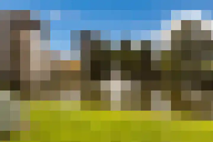 Kortlandstraat 89 Krimpen aan den IJssel thumbnail 43