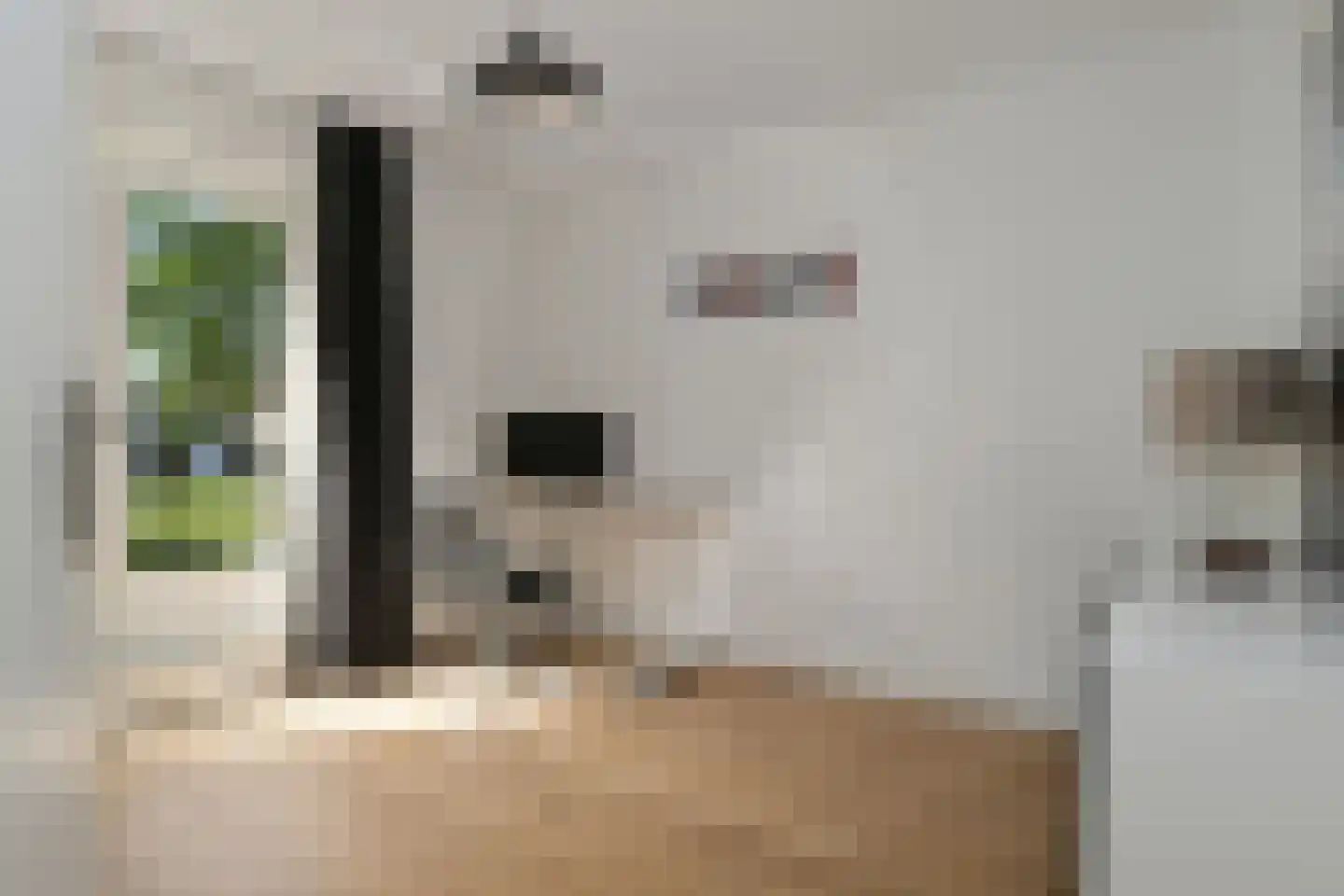 Kortonjolaan 24 Eindhoven thumbnail 22