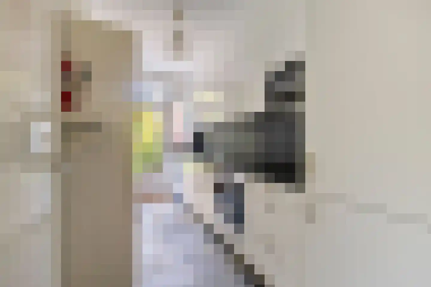 Kortonjolaan 30 Eindhoven thumbnail 12