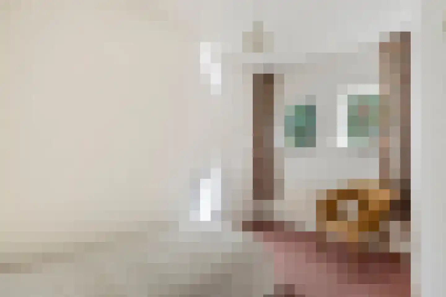 Kortonjolaan 30 Eindhoven thumbnail 22