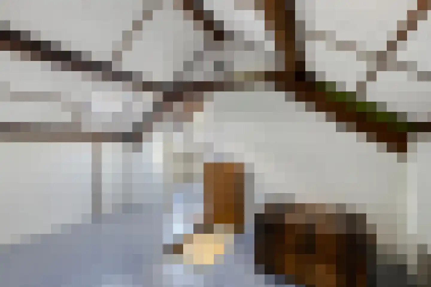 Kortonjolaan 30 Eindhoven thumbnail 24