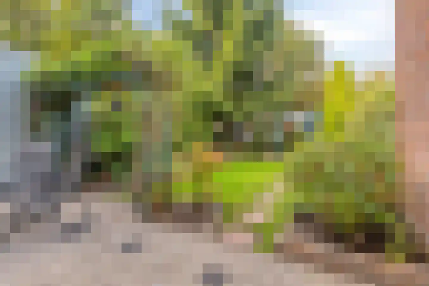 Kortonjolaan 30 Eindhoven thumbnail 28