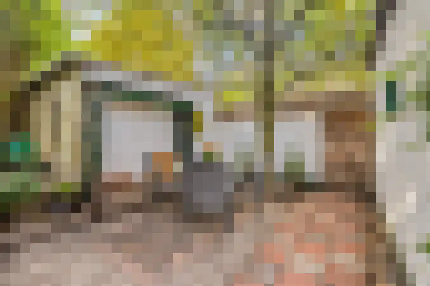 Kortonjolaan 30 Eindhoven thumbnail 31