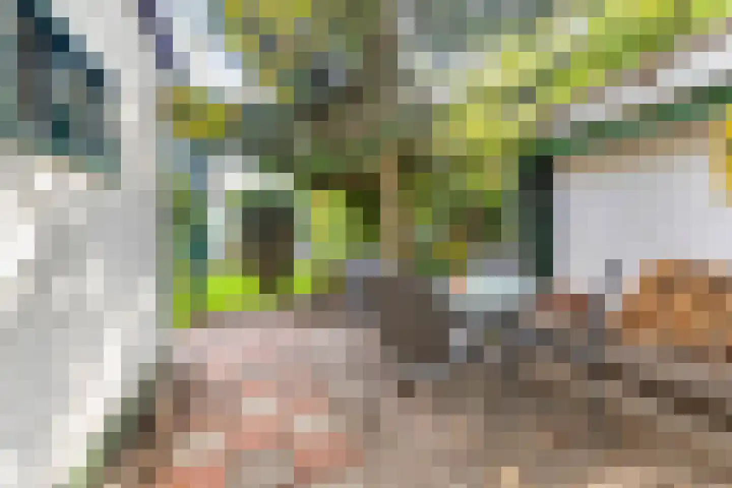 Kortonjolaan 30 Eindhoven thumbnail 32