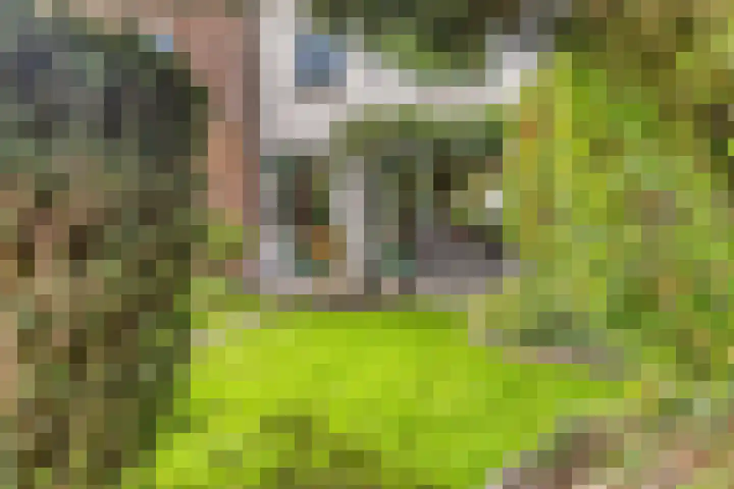 Kortonjolaan 30 Eindhoven thumbnail 33