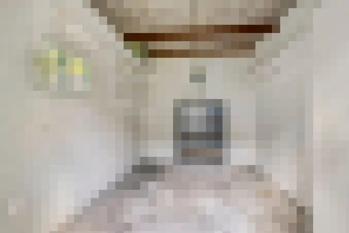 Kortonjolaan 30 Eindhoven thumbnail 34