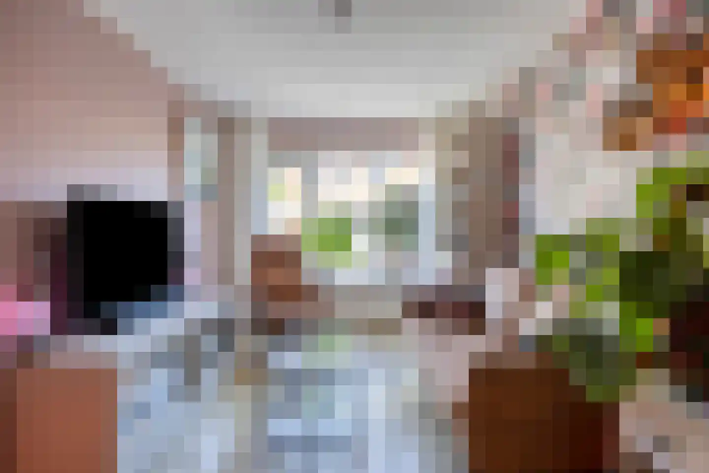 Kortricklaan 115 Olst thumbnail 20