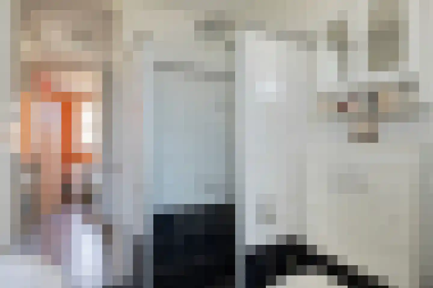 Kortricklaan 115 Olst thumbnail 29