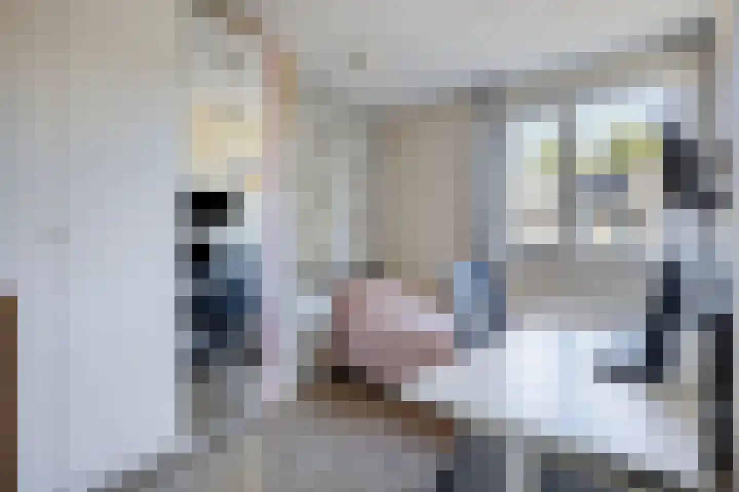 Kortricklaan 115 Olst thumbnail 30