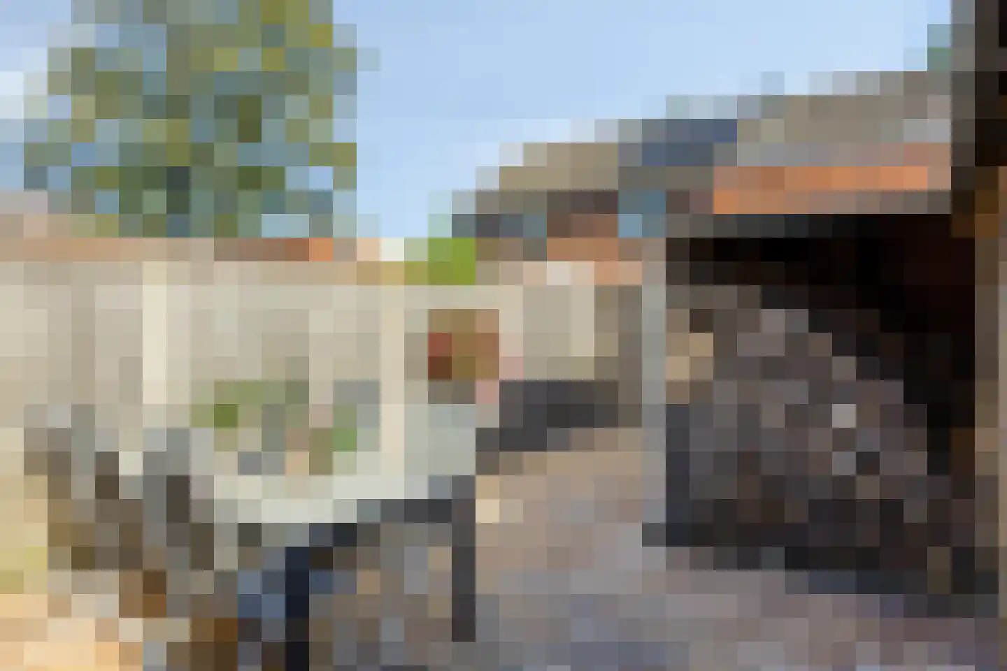 Kortricklaan 115 Olst thumbnail 37