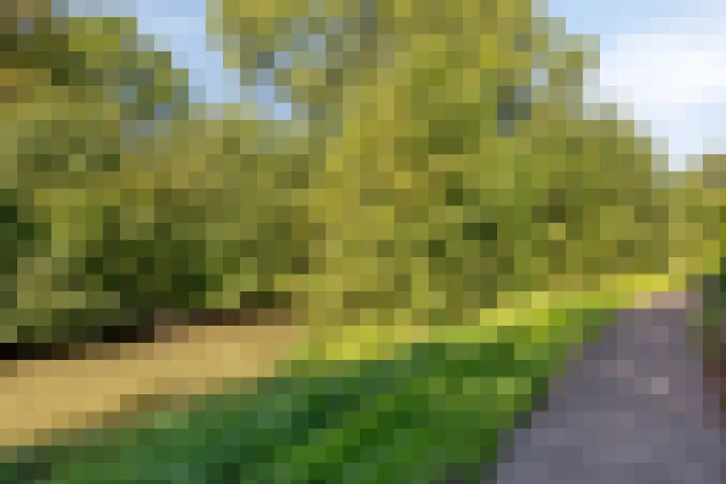 Kortricklaan 115 Olst thumbnail 45