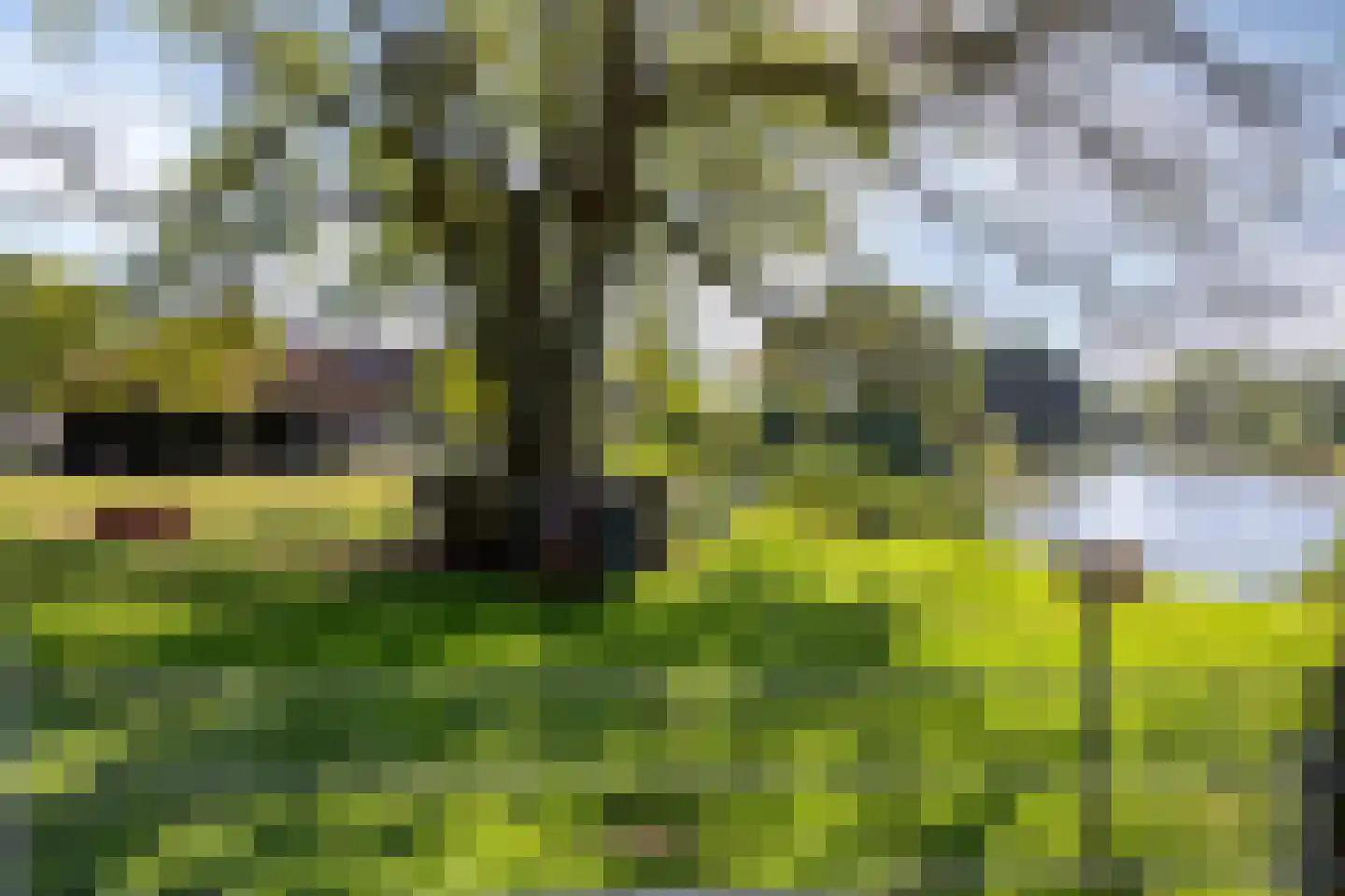 Kortricklaan 115 Olst thumbnail 46