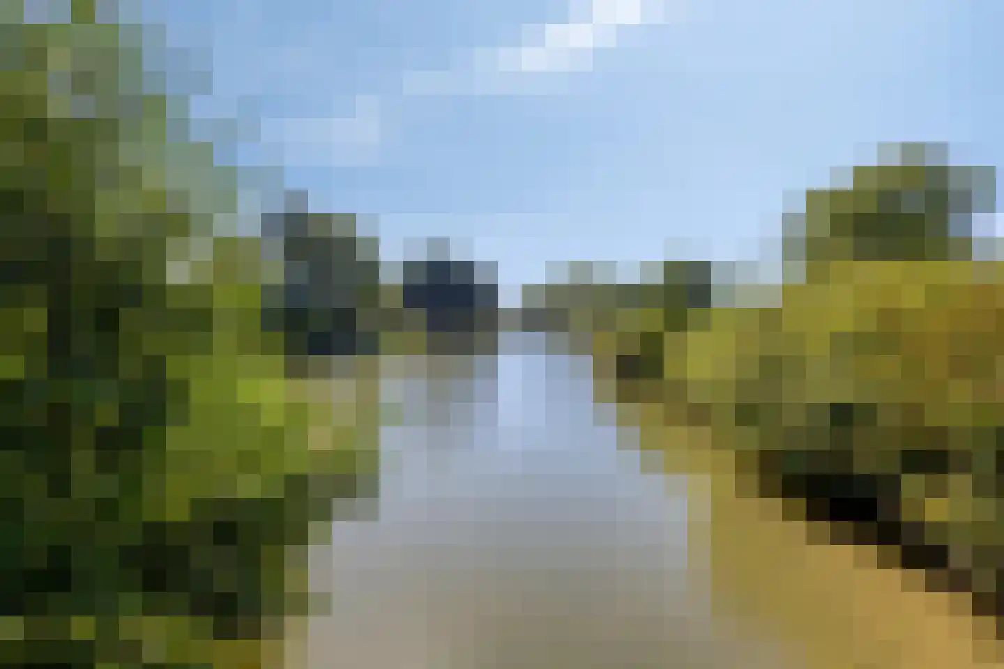 Kortricklaan 115 Olst thumbnail 47