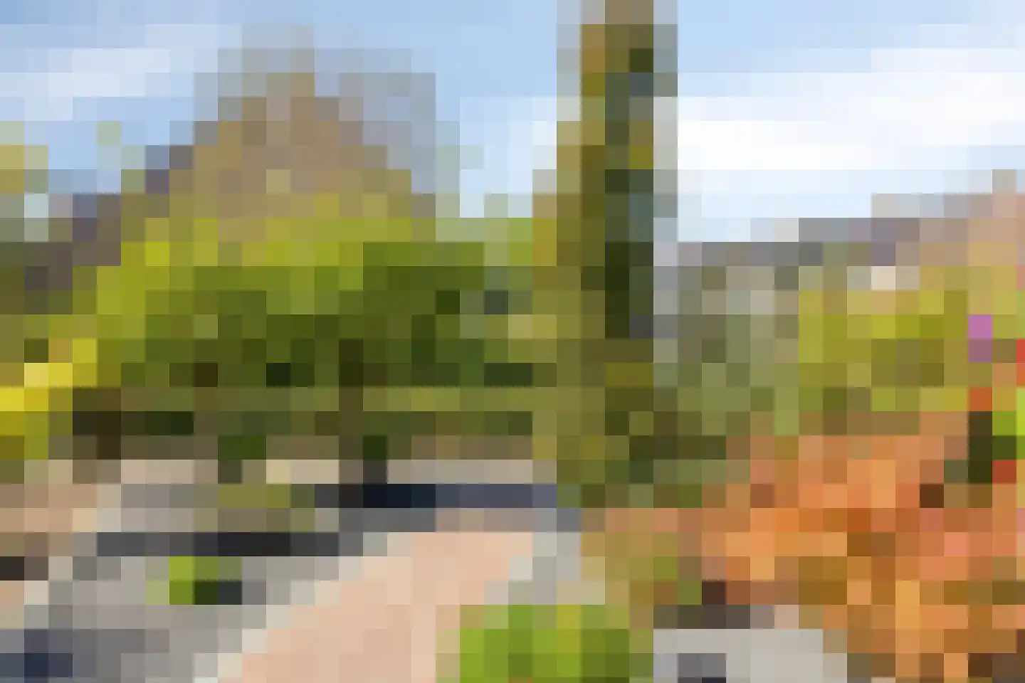Kortricklaan 115 Olst thumbnail 8