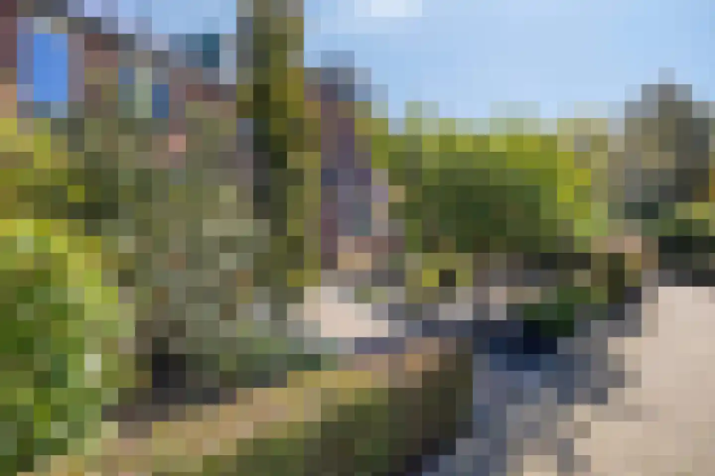 Kortricklaan 115 Olst thumbnail 9