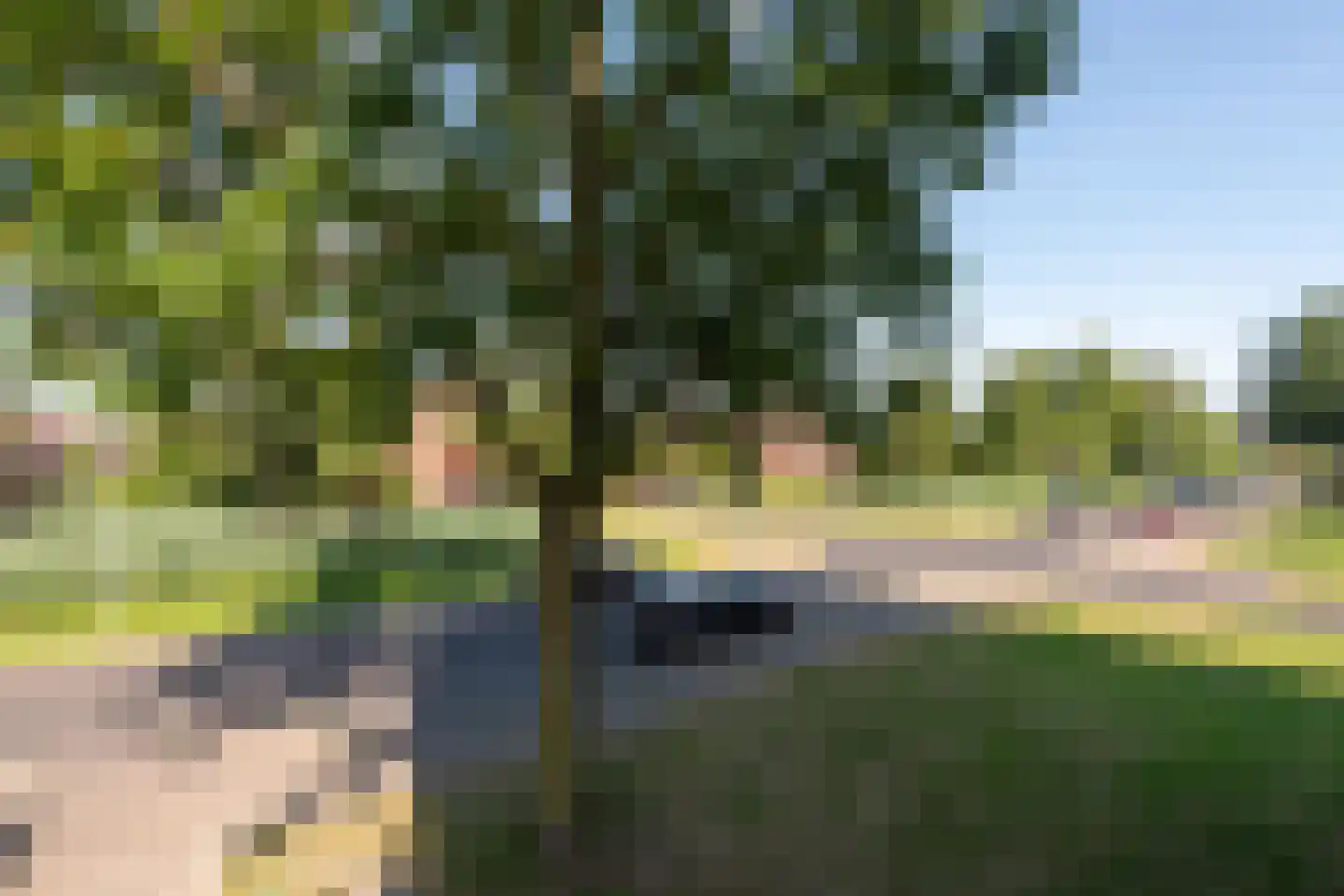 Kortrijkpolder 10 De Meern thumbnail 20