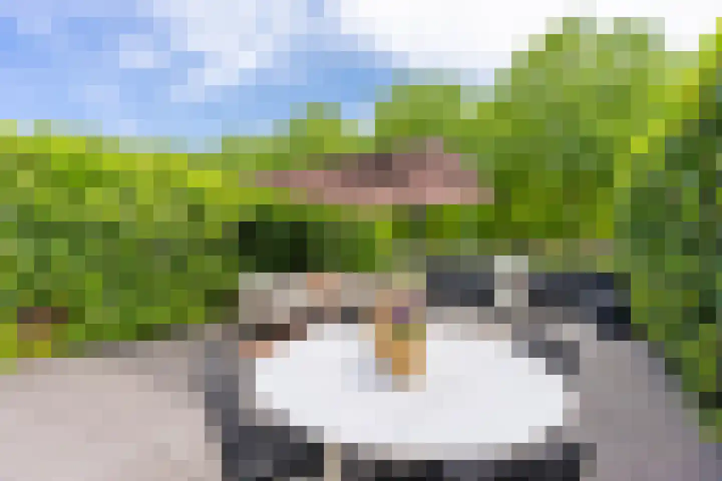 Kortrijkpolder 92 De Meern thumbnail 22