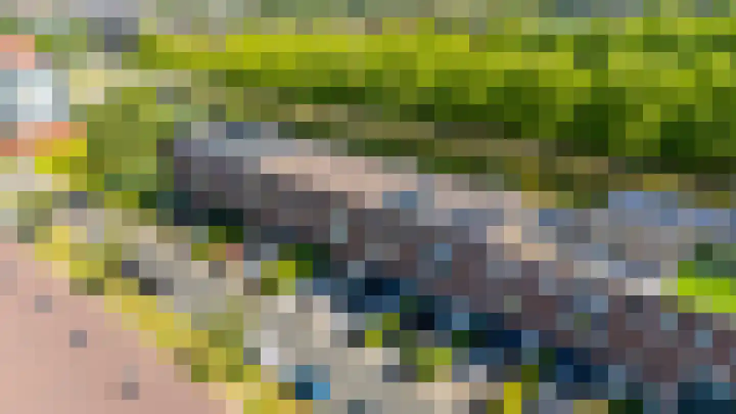 Kortrijkpolder 92 De Meern thumbnail 5