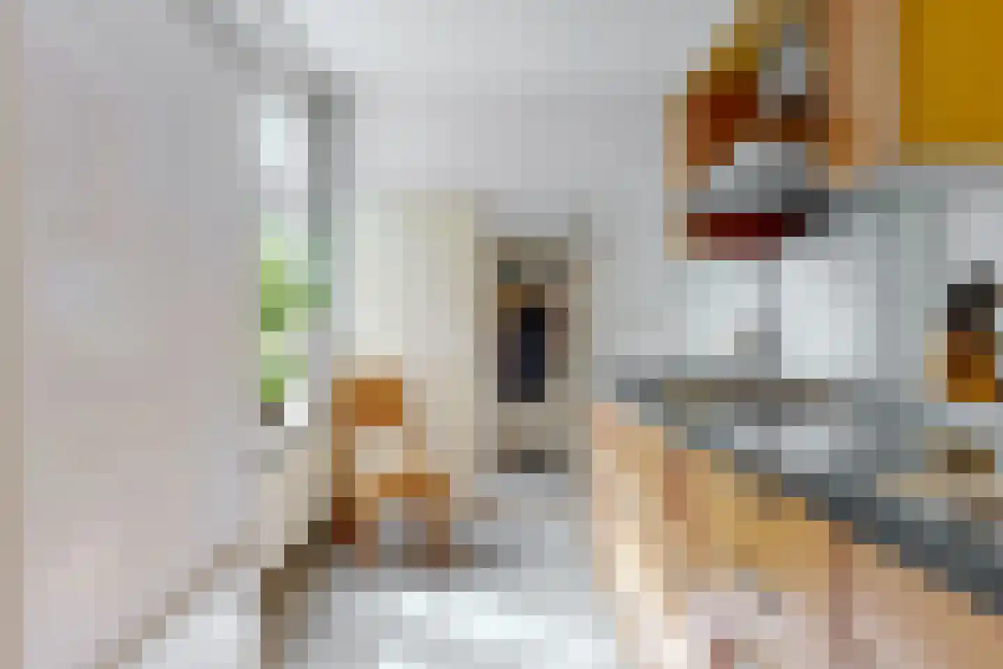 Kortsteekterbuurt 7 Alphen aan den Rijn thumbnail 9