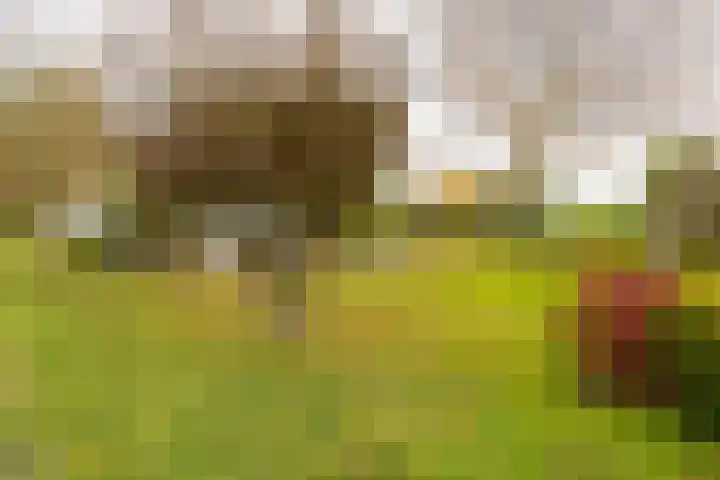 Kortsteekterweg 25 Alphen aan den Rijn thumbnail 25