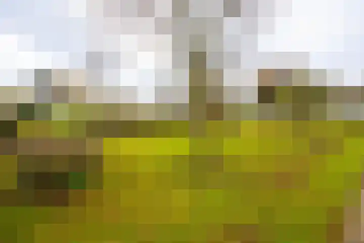 Kortsteekterweg 25 Alphen aan den Rijn thumbnail 26