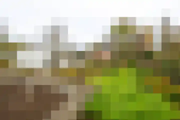 Kortsteekterweg 25 Alphen aan den Rijn thumbnail 27