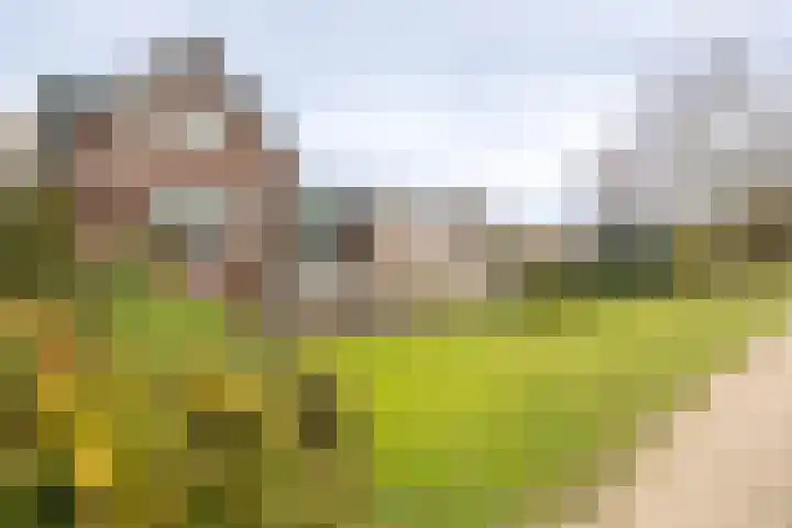 Kortsteekterweg 25 Alphen aan den Rijn thumbnail 29