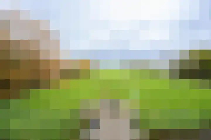 Kortsteekterweg 25 Alphen aan den Rijn thumbnail 31
