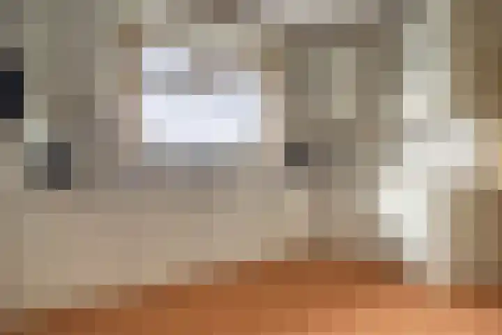Kortsteekterweg 25 Alphen aan den Rijn thumbnail 8