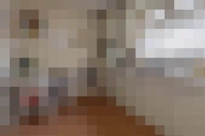Kortsteekterweg 25 Alphen aan den Rijn thumbnail 9