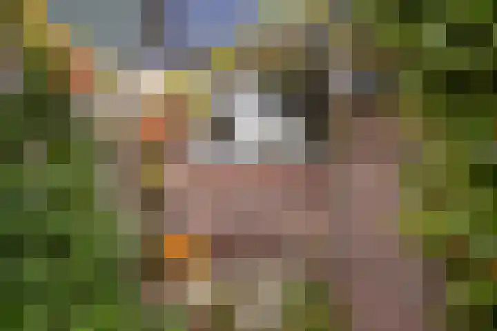 Kortsteekterweg 49 Alphen aan den Rijn thumbnail 10
