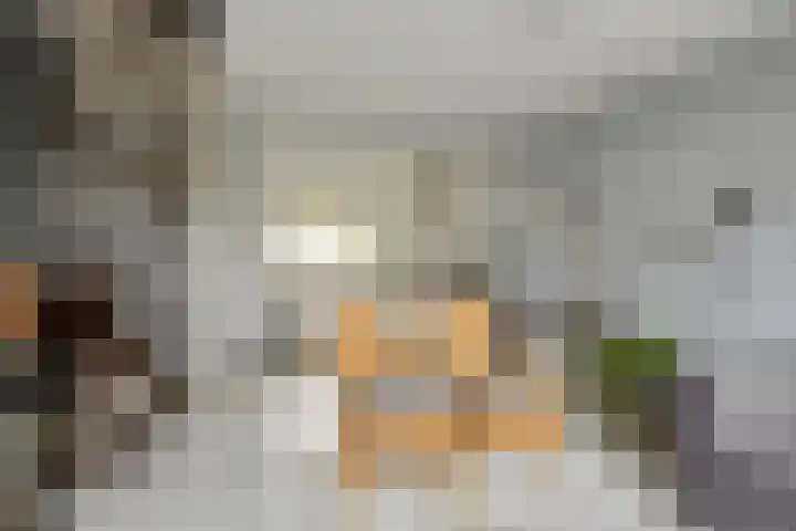 Kortsteekterweg 49 Alphen aan den Rijn thumbnail 17