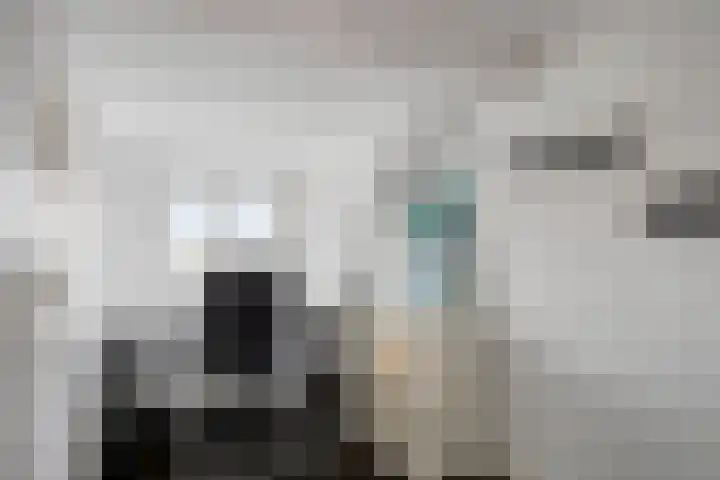 Kortsteekterweg 49 Alphen aan den Rijn thumbnail 25