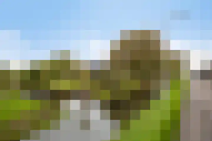 Kortsteekterweg 49 Alphen aan den Rijn thumbnail 30
