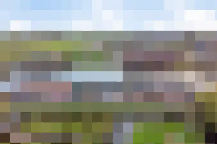 Kortsteekterweg 49 Alphen aan den Rijn thumbnail 5