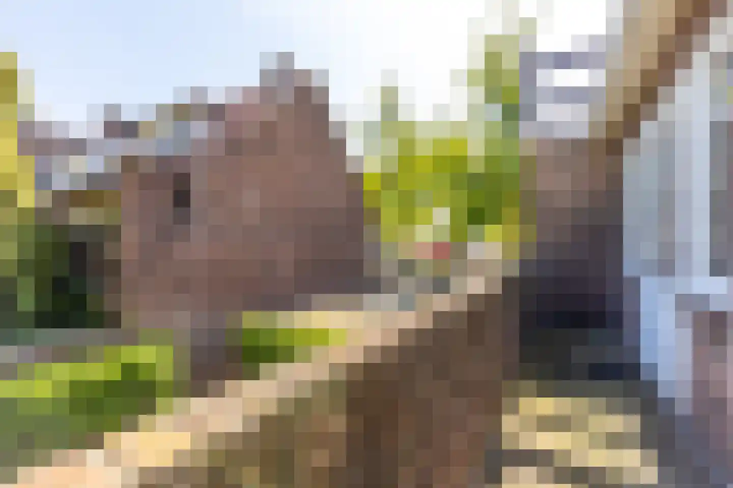 Kortstraat 6 Heerlen thumbnail 18