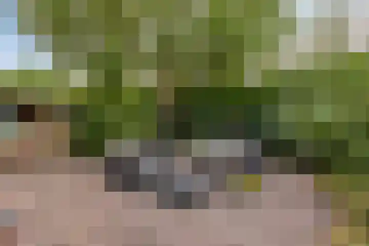 Kortstraatje 2 Wemeldinge thumbnail 10