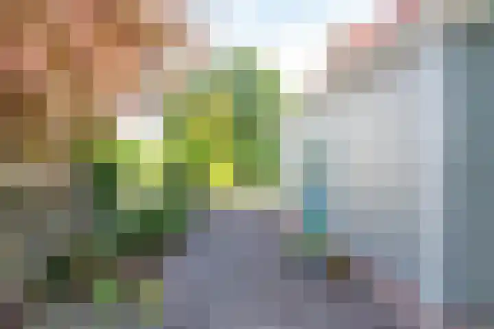 Kortstraatje 2 Wemeldinge thumbnail 11