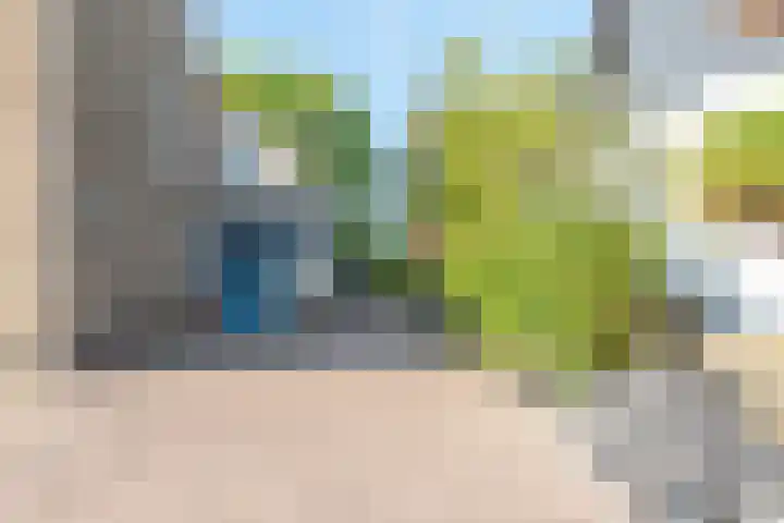 Kortstraatje 2 Wemeldinge thumbnail 12