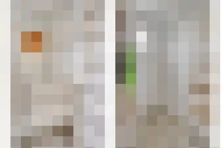 Kortstraatje 2 Wemeldinge thumbnail 16