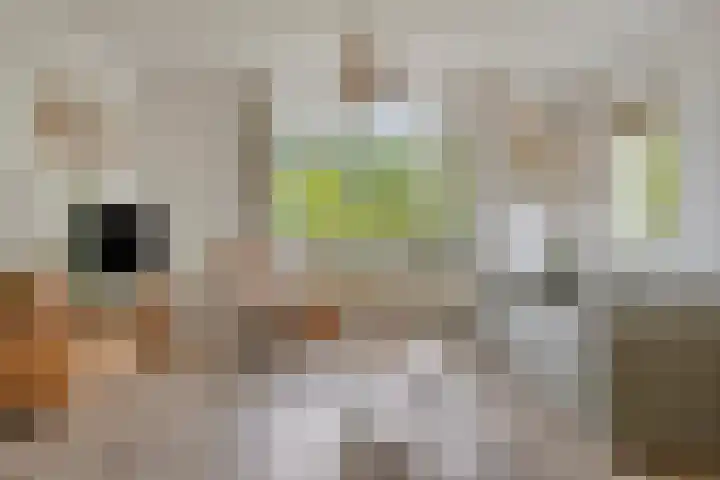 Kortstraatje 2 Wemeldinge thumbnail 23