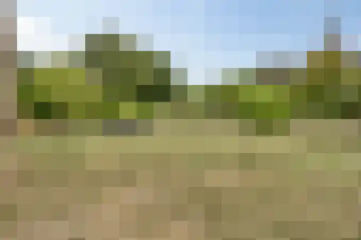 Kortstraatje 2 Wemeldinge thumbnail 30
