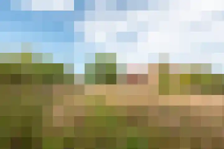 Kortstraatje 2 Wemeldinge thumbnail 31