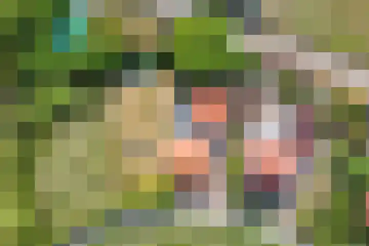 Kortstraatje 2 Wemeldinge thumbnail 34