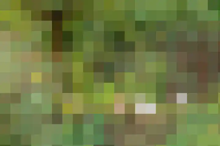 Kortstraatje 2 Wemeldinge thumbnail 4