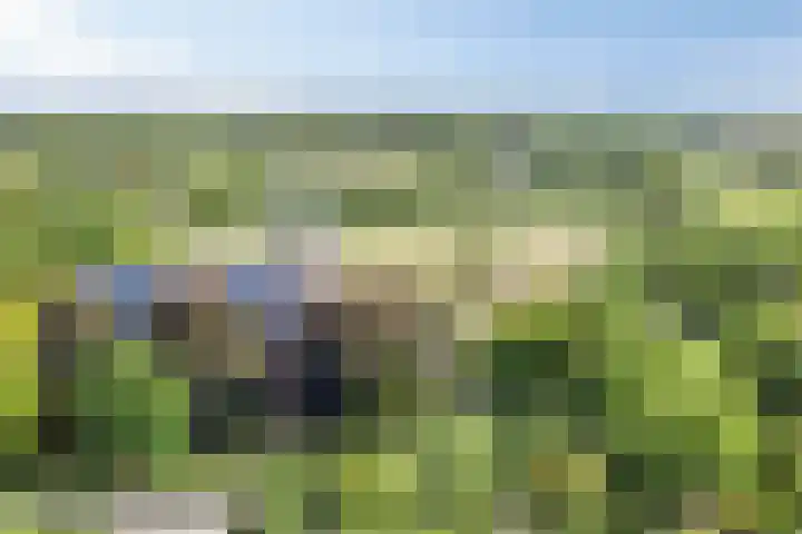 Kortstraatje 2 Wemeldinge thumbnail 40