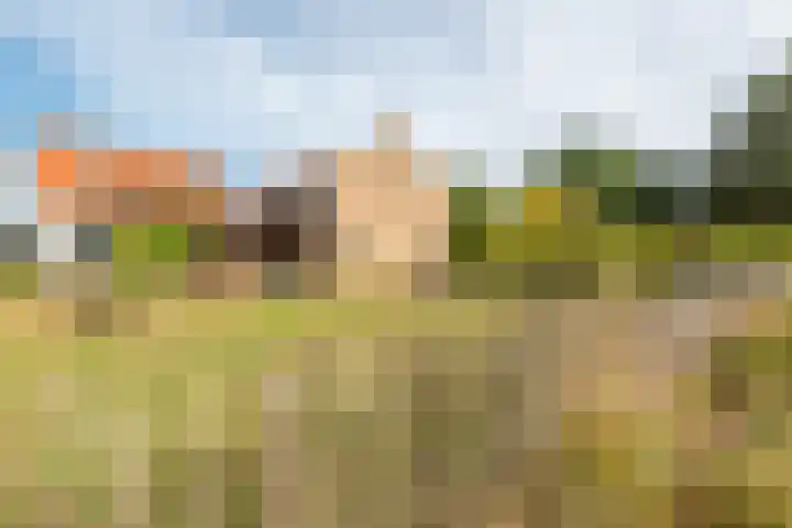 Kortstraatje 2 Wemeldinge thumbnail 6