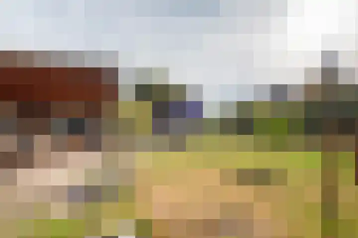 Kortstraatje 2 Wemeldinge thumbnail 7